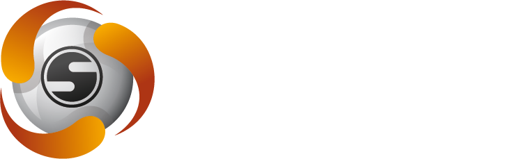 Spins Network